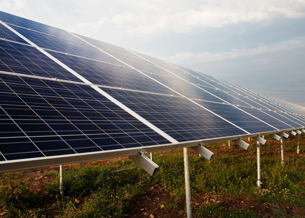 美克生（福建）投资发展集团有限公司